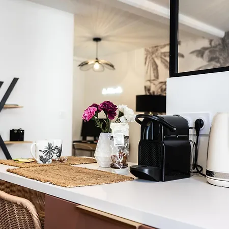 Apartamento Le Grand Arth&m Ferrand *